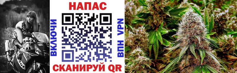 Купить закладки  Ардон  Каннабис ГИДРОПОН 